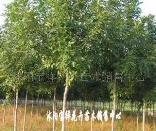 供應電線電纜填充用高檔麻線_紡織、皮革_世界工廠網中國產品信息庫